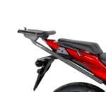 shad_honda-2.jpg